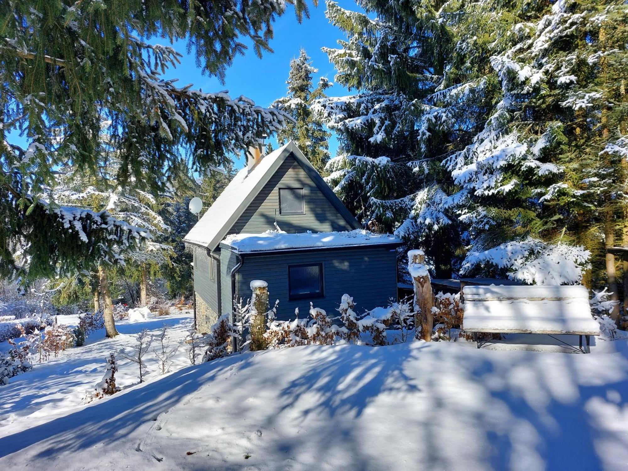 Chalet 100